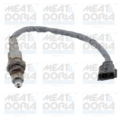 Oxygen Sensor